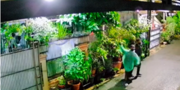 Kritisi Penanganan Bencana, Selebgram Diteror Bangkai Ayam dan Molotov