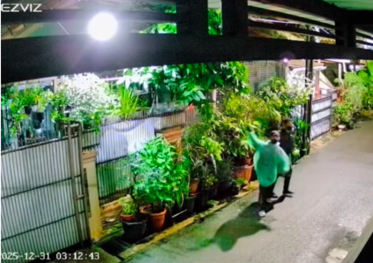 Kritisi Penanganan Bencana, Selebgram Diteror Bangkai Ayam dan Molotov