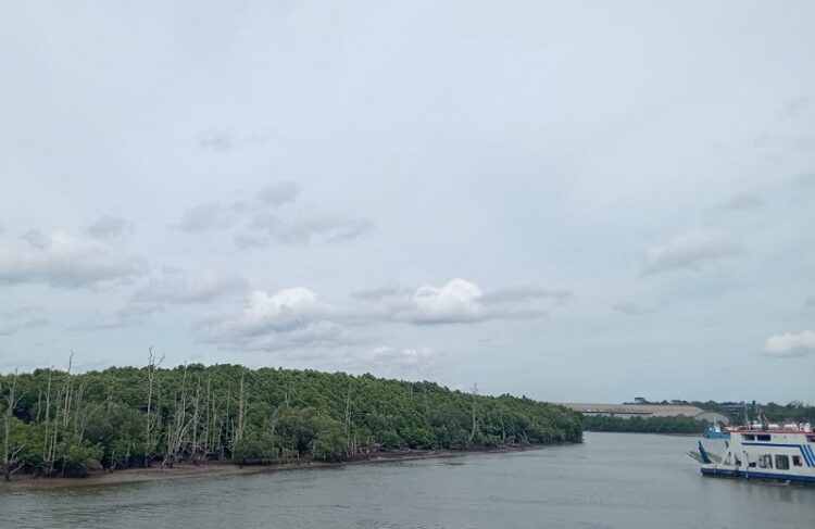 Prakiraan Cuaca Balikpapan 8 Maret: Waspada Hujan Petir