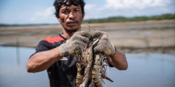 Investasi Perdana Biru Fund Perkuat Akses Benih Berkualitas