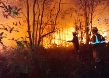 Titik Panas Terdeteksi, Kaltim Wanti-wanti Kebakaran Hutan dan Lahan