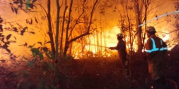 Titik Panas Terdeteksi, Kaltim Wanti-wanti Kebakaran Hutan dan Lahan
