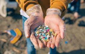 Ancaman Mikroplastik Intai Ekosistem Laut dan Keamanan Pangan