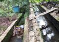 Tradisi Mandi Jiwa di Mata Air Cipujangga Harus Dipertahankan