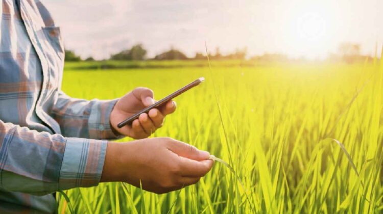 BRIN – Kementan Perkuat Riset Pertanian