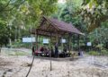 Taman Hutan Kota