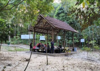 Taman Hutan Kota