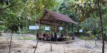 Taman Hutan Kota