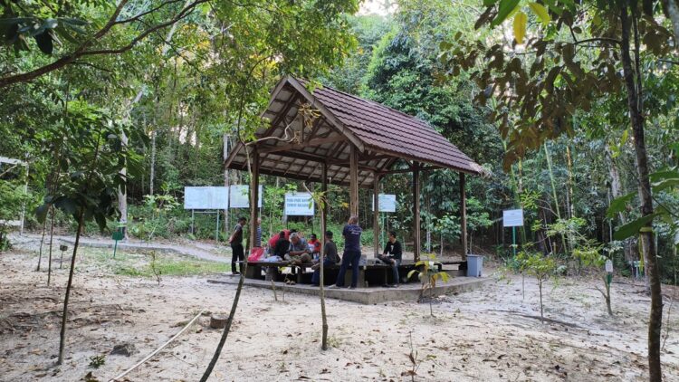 Taman Hutan Kota