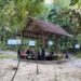 Taman Hutan Kota